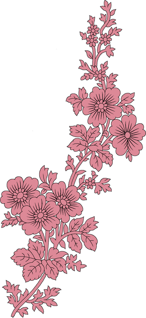 cc41eac6f024c573aef262a22e9dacc6.png