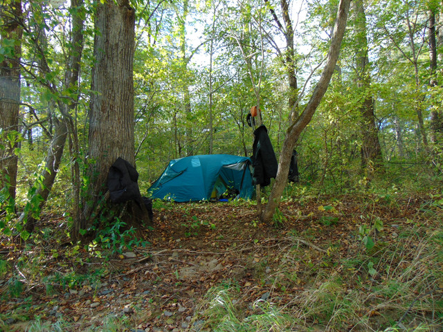 DSC06450.jpg