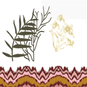 04 (60)
