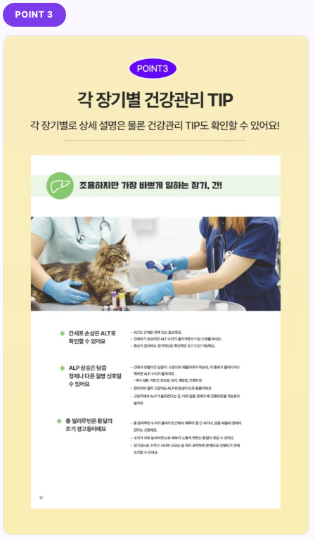 검진 리포트 POINT 3