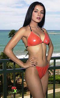 [Image: images-2023-02-11-T142603-476.jpg]