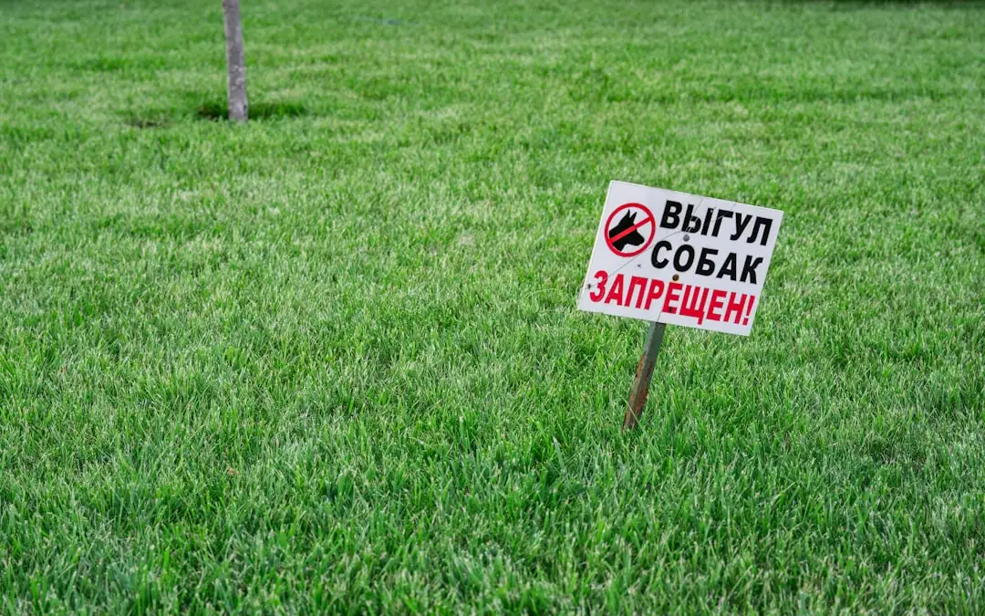 Creşterea copiilor după divorţ: abordarea parentală paralelă