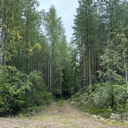 IMG 4960