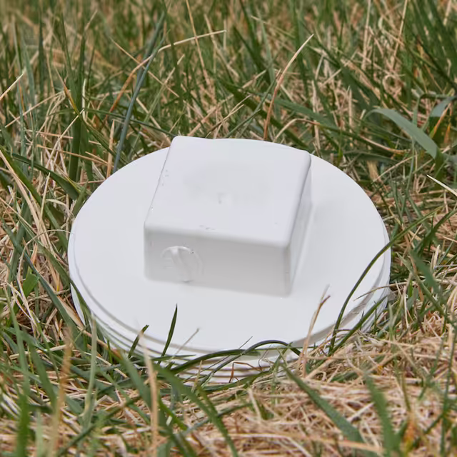cp