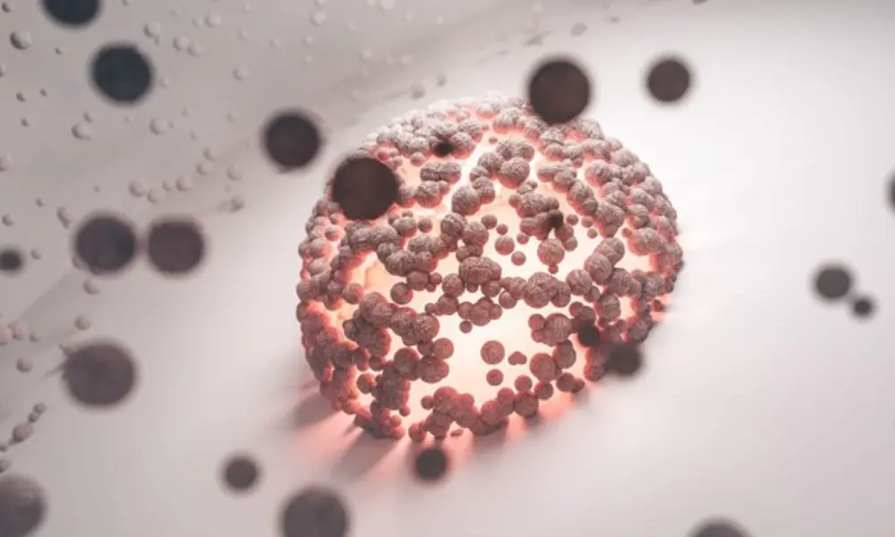 Cell Death Insights into Health and Aging