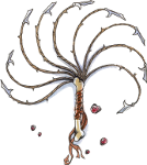 z7iLtjM.png