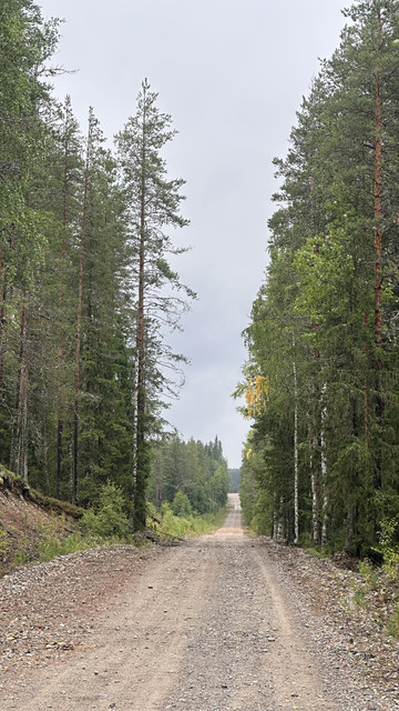 IMG 4511.jpg
