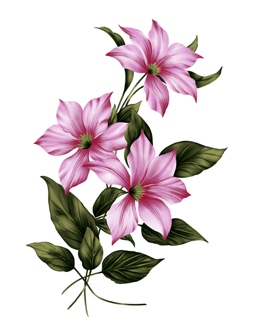 fc9334c5298fca2031d89e05ce45c395.png