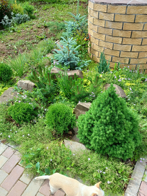 1000033203.jpg