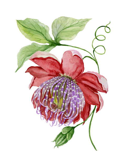 shutterstock 1092261581.jpg
