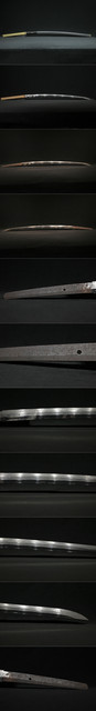 DSC1408.jpg