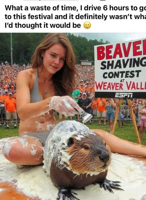 1000016392.jpg
