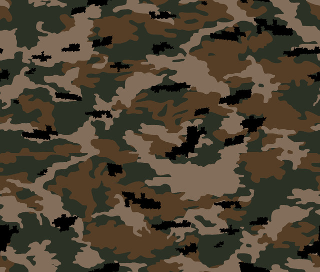 B 3848 ORG.jpg