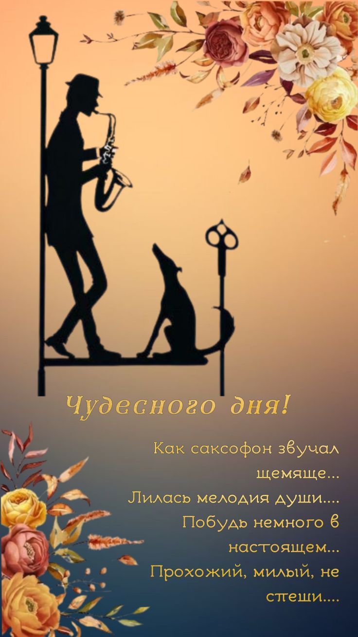 https://i.ibb.co/Z1m69SJ2/IMG-5235.jpg