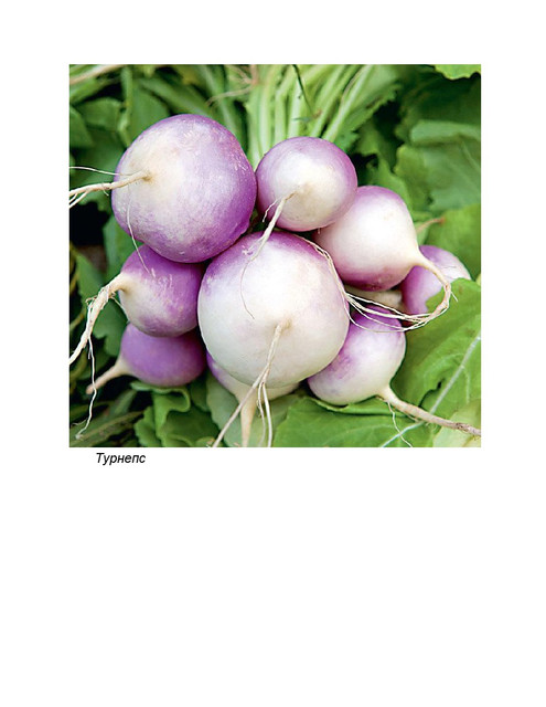 593