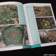 IMG-3301