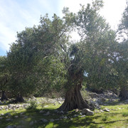 DSC04618