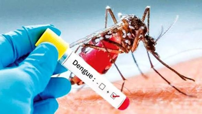 sri-lanka-records-over-88000-dengue-cases-in-2026