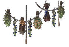 Dried tea tied to a rope