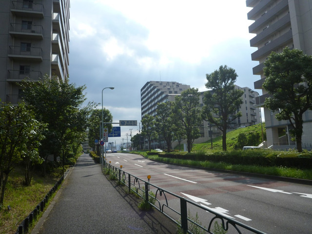 P1350247