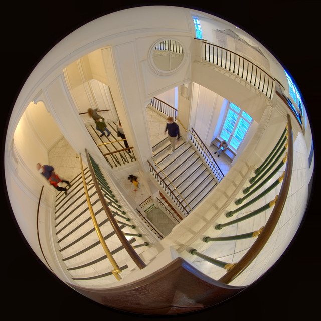 DSCF7787.jpg
