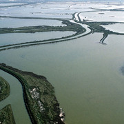 valli-comacchio2-800