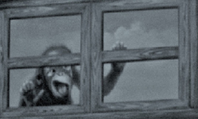 looking in