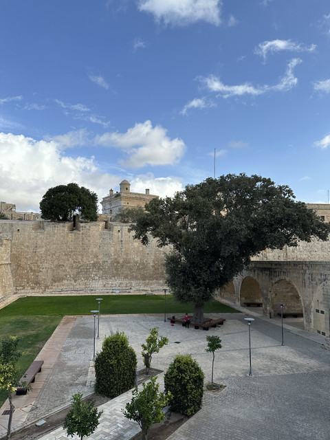 IMG-7647