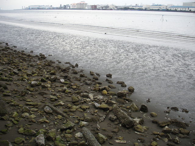 2009-03-01-45.jpg