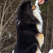 IMG-0901