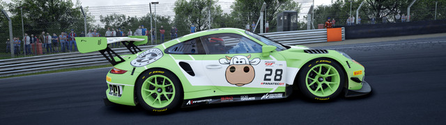 COWCOTLAND-Porsche-991-II-GT3-R-4