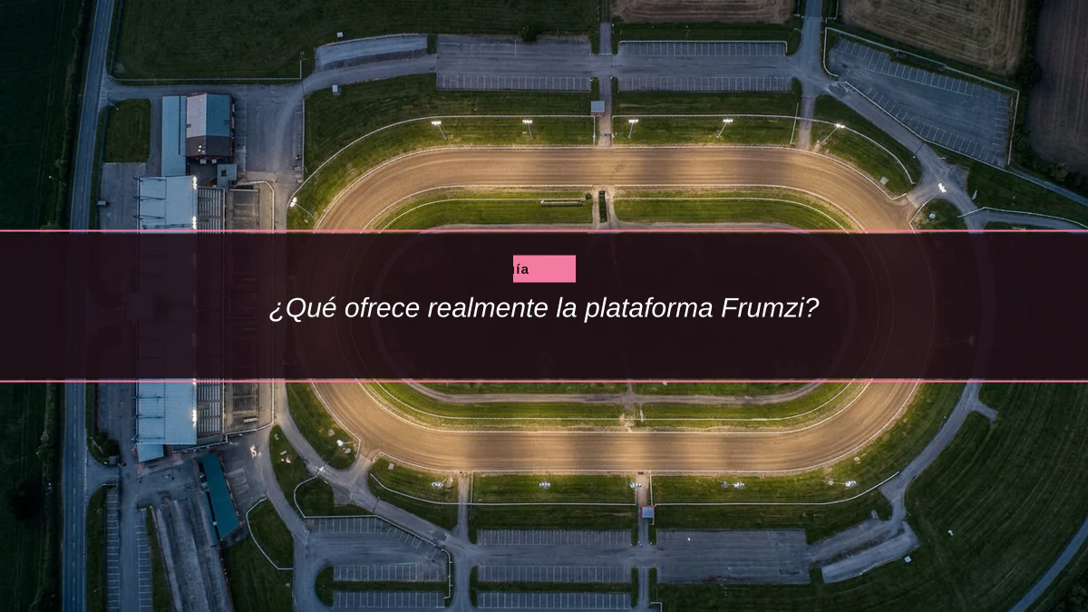¿Qué ofrece realmente la plataforma Frumzi?