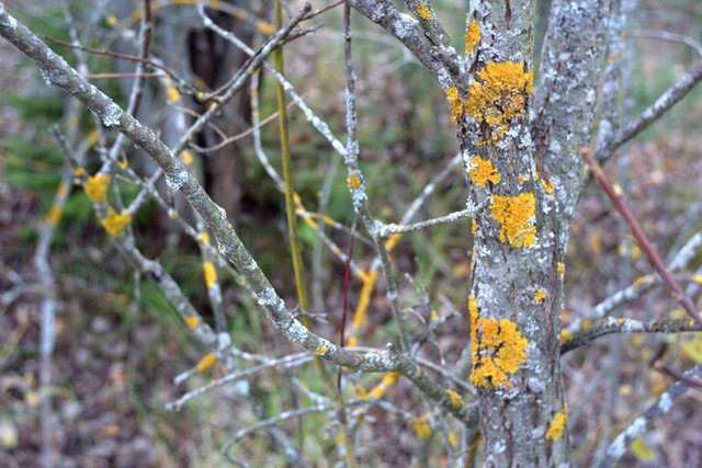 DSC7498-result.jpg