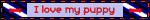 IMG 3183.gif