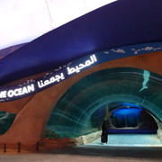DSC07401