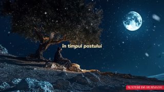 Am Murit pentru 17 Minute. Ce Mi-a Arătat Isus despre Puterea Postului