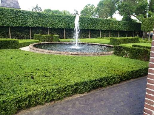 IMG-3385.jpg