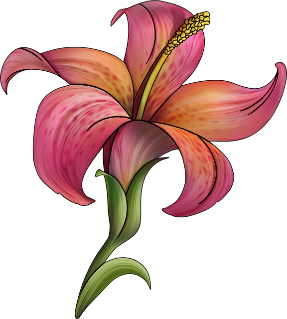 f2d3f4a62ed5baf1afc77c252d2b0a5b.png