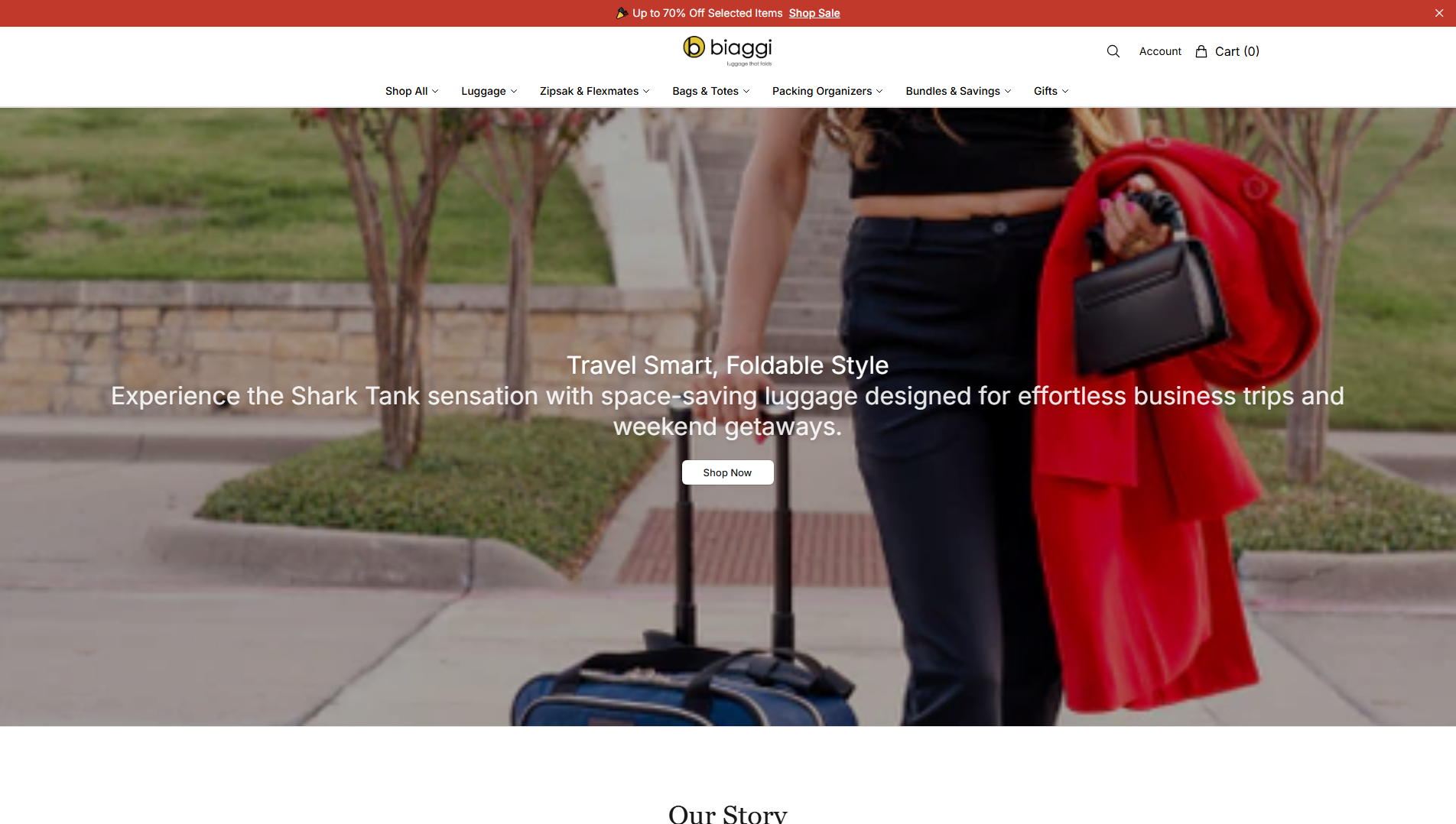 Primary capture · biaggistyle.shop