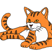 Peryn the Cat