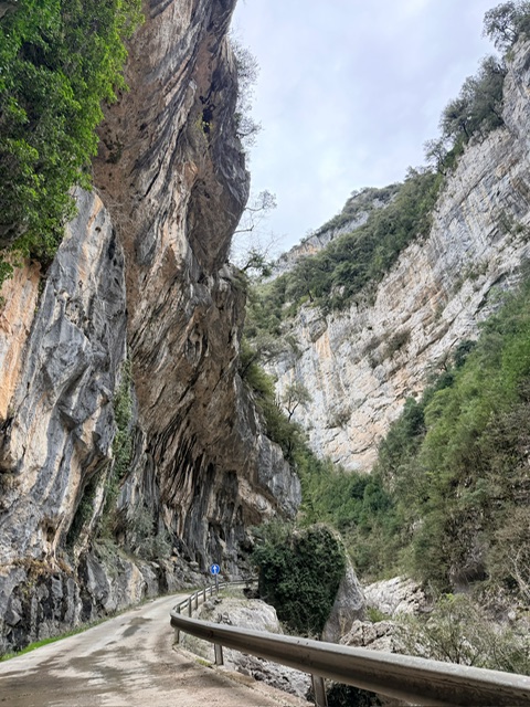 IMG 0307.jpg