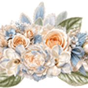denimandlace div