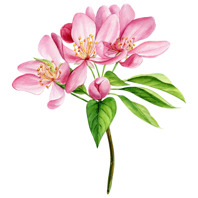 Adobe Stock 560013058.png