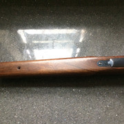 IMG-8737