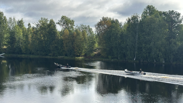 IMG 5336.jpg