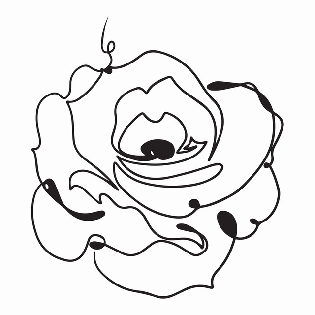 5d7ca0d55d.jpg