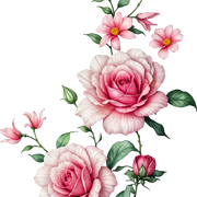 4aa443d9842b8d11cb971a265895b4e7