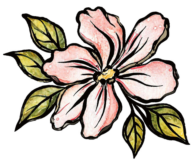 flower tracing 6.jpg