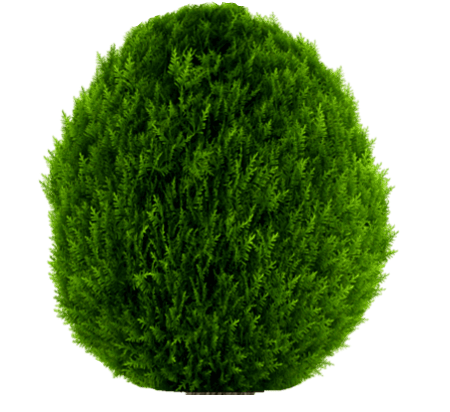 transparent.png