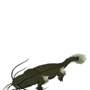 EZSu Rfp WAAApd Q2 format png name small